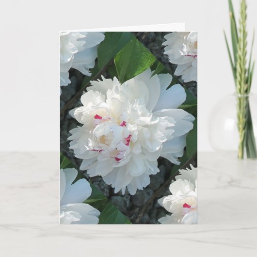 数々の大切Peony Greetingおよび/またはNote Card カード (正面)