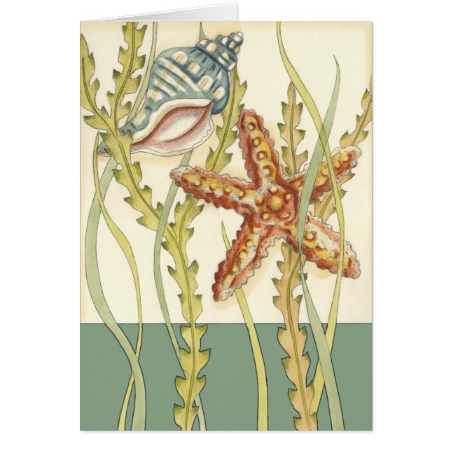 数々の色シェルパーティー (正面)