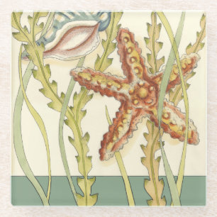 数々の色シェルパーティー ガラスコースター