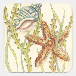 数々の色シェルパーティー スクエアシール