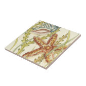 数々の色シェルパーティー タイル (側面)