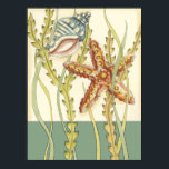 数々の色シェルパーティー ポスター<br><div class="desc">チャリティリア・ザリスは彼女の海作品のために知られている才能のあるアーティストである。彼女のイメージは平和で穏やかリラックスで、すべての写真であなたの。この作品航海のを手に入れるには、ヒトデとコンチシェルが中心で、美しいコンブ縁どが含まれている。この画像は完成品素晴らしを見る。</div>