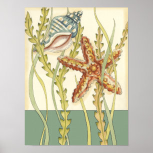 数々の色シェルパーティー ポスター