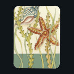 数々の色シェルパーティー マグネット<br><div class="desc">チャリティリア・ザリスは彼女の海作品のために知られている才能のあるアーティストである。彼女のイメージは平和で穏やかリラックスで、すべての写真であなたの。この作品航海のを手に入れるには、ヒトデとコンチシェルが中心で、美しいコンブ縁どが含まれている。この画像は完成品素晴らしを見る。</div>