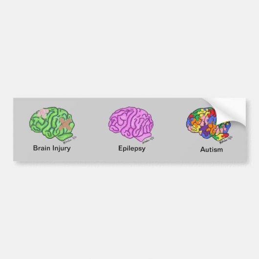 数々の頭脳のバンパーステッカー バンパーステッカー (正面)