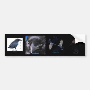 数々の-stickers III BLACK RAVEN Set バンパーステッカー
