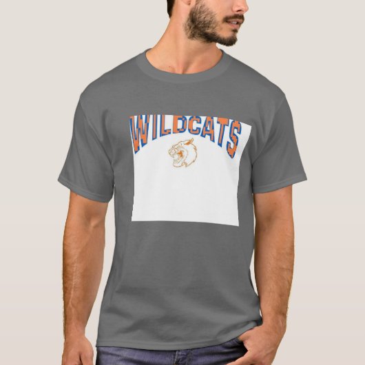 数々の Tシャツ (正面)