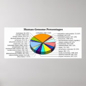 数と割合のヒトゲノム ポスター (正面)