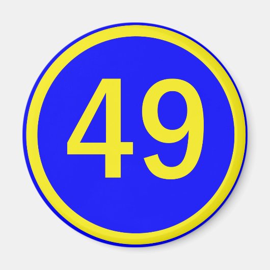 数値， 49，円 マグネット (正面)