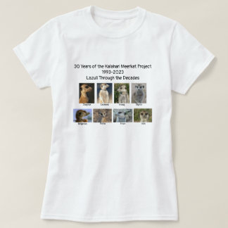 数十年のTシャツを通してLazuli Tシャツ