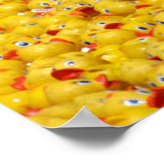 数千のアヒル ポスター (角)