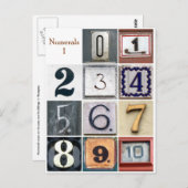 数字 1 ポストカード (正面/裏面)