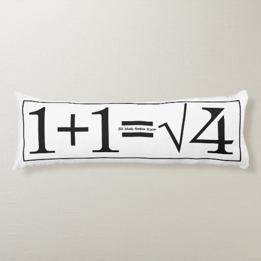 数学の天才 ボディピロー (正面)