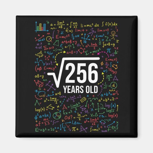 数学の平方根 256歳、面白い数学  マグネット (正面)