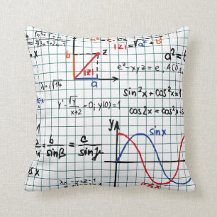 数学の方式数 クッション