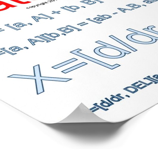 数学の規則！ ポスター (角)