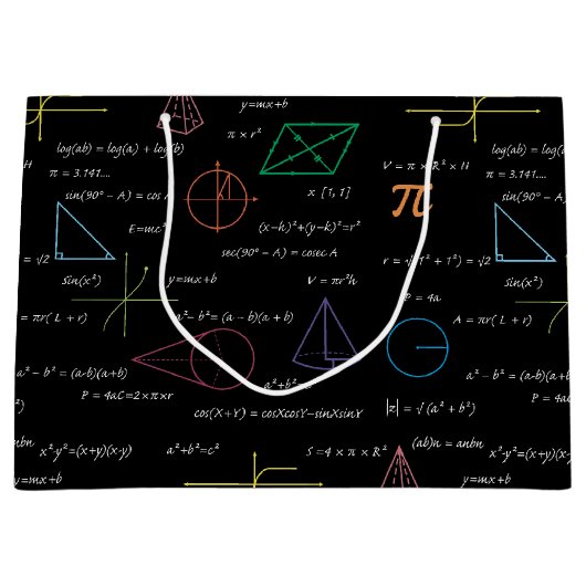 数学カラフル方程式の数式 ラージペーパーバッグ (正面)