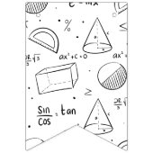 数学クラス | 白黒ミニマリストデコール バンティングフラッグ (第2の旗)