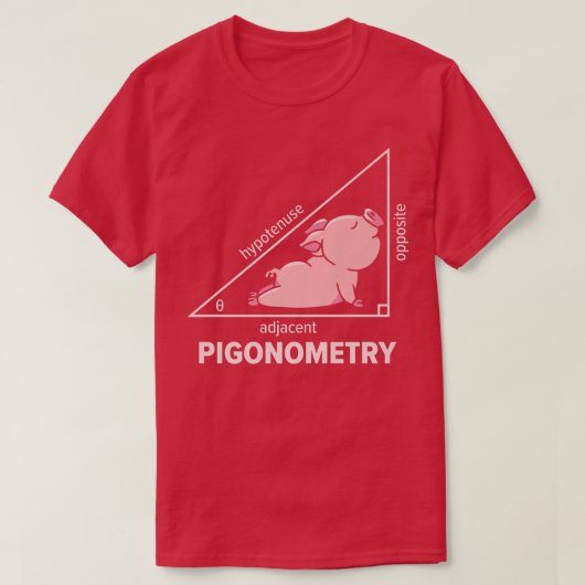 数学ピグ代数ピゴノメトリ低位数数学 Tシャツ (デザイン正面)
