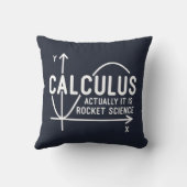 数学先生微積分は実際にはロケット科学である クッション (裏面)