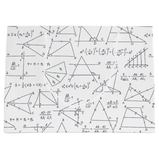 数学計算イラスト学校先生 ラージペーパーバッグ (正面)