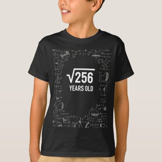 数学256歳の誕生日を祝う面白い数学好きな人へ Tシャツ (正面)