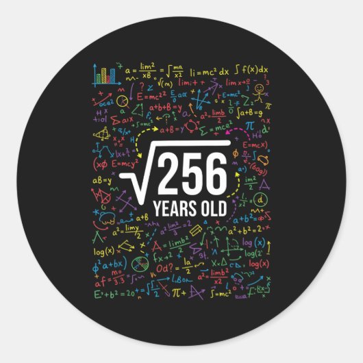 数学 平方根 256歳 楽しい数学 ラウンドシール (正面)