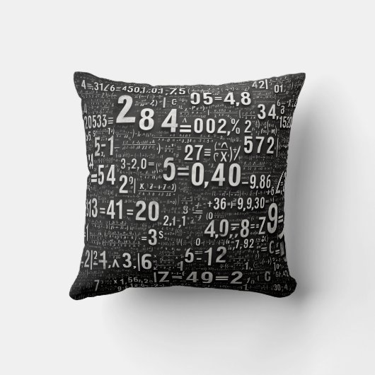 数式と数式 クッション (裏面)