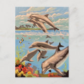 数絵を描順 |イルカよくはしゃぐ類 | ポストカード (正面)