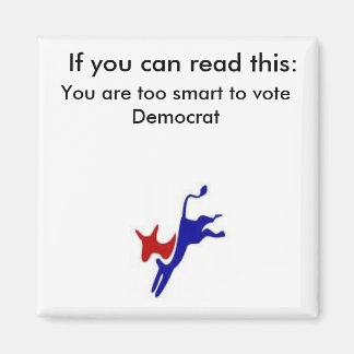 数頭が切れる過2 マグネット