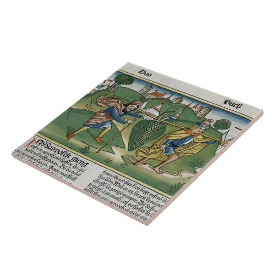 数13 23 「NureからのEscholのブドウ、 タイル (側面)