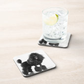 整えられた黒いプードル コースター (右側)