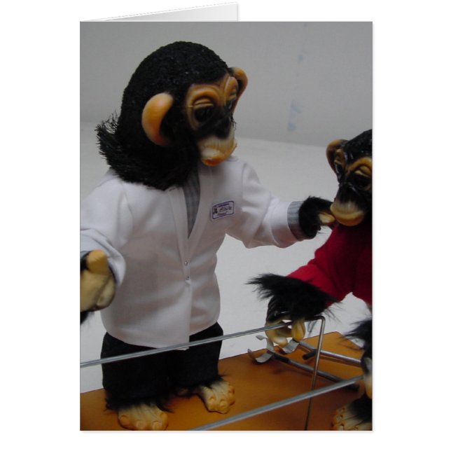 整形外科医 (正面)