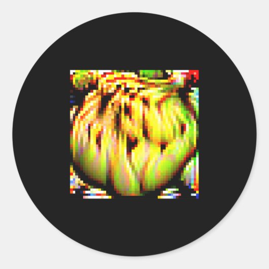 敵対的アンチ – 顔認識迷彩Inv ラウンドシール (正面)