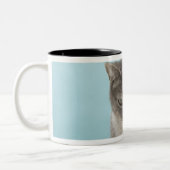 敷物のおもちゃのマウスを見ている猫 ツートーンマグカップ (左)