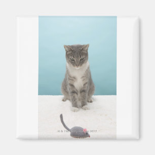 敷物のおもちゃのマウスを見ている猫 マグネット