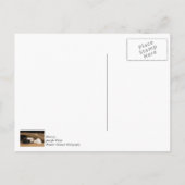 敷物の下で遊ぶありがとう ポストカード (裏面)