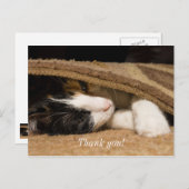 敷物の下で遊んでくれてありがとう ポストカード (正面/裏面)
