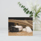 敷物の下で遊んでくれてありがとう ポストカード (スタンド正面)