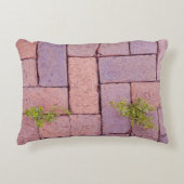 敷石ユーモアのある歩道模様 アクセントクッション (正面)