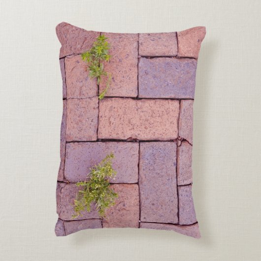 敷石ユーモアのある歩道模様 アクセントクッション (裏面(縦))