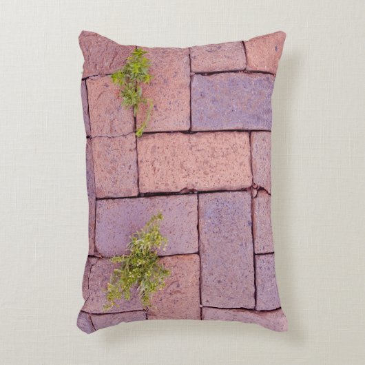 敷石ユーモアのある歩道模様 アクセントクッション (正面(垂直))