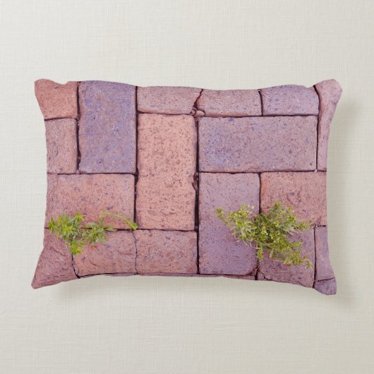 敷石ユーモアのある歩道模様 アクセントクッション (裏面)