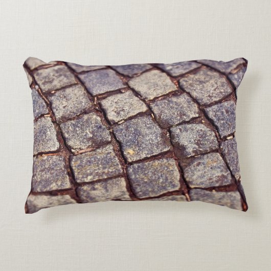 敷石 アクセントクッション (正面)