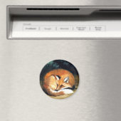 「敷設キツネ」ワイルドライフアート再生磁石 マグネット (インサイチュ (食洗機))