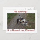 文句言わないで！ ポストカード (正面/裏面)