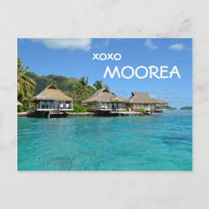 文字が付いているMooreaのバンガロー: 「xoxo Moorea」の郵便はがき ポストカード