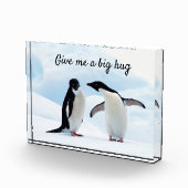 文字と氷の写真でビッグハグペンギン フォトブロック (右)