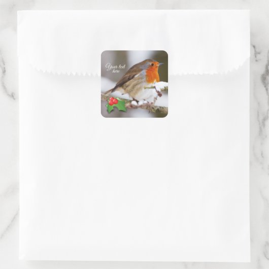 文字カスタムかわいいロビンin snow スクエアシール (バッグ)