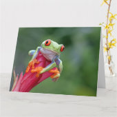 文字カスタムカエル カード (黄色い花)